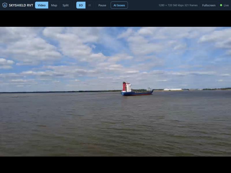 Viewer video
